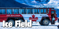 Jasper Columbia Icefield Athabasca Glacier