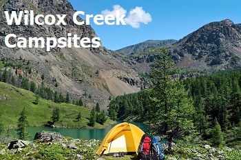 Wilcox Creek Campground
